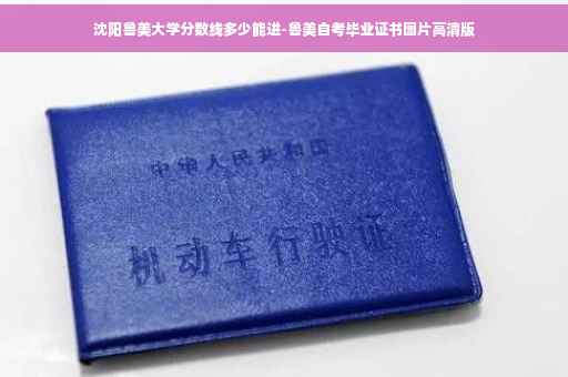 沈阳鲁美大学分数线多少能进-鲁美自考毕业证书图片高清版
