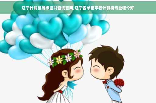 辽宁计算机等级证书查询官网,辽宁省单招学校计算机专业哪个好