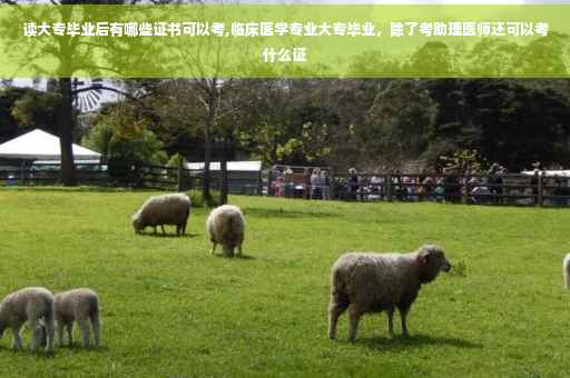 读大专毕业后有哪些证书可以考,临床医学专业大专毕业，除了考助理医师还可以考什么证