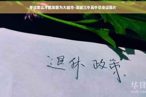 枣庄怎么才能发展为大城市-连城三中高中毕业证图片