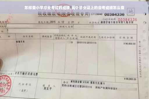 怎样查小学毕业考试的成绩,高中毕业证上的会考成绩怎么查