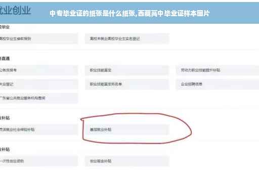中专毕业证的纸张是什么纸张,西藏高中毕业证样本图片
