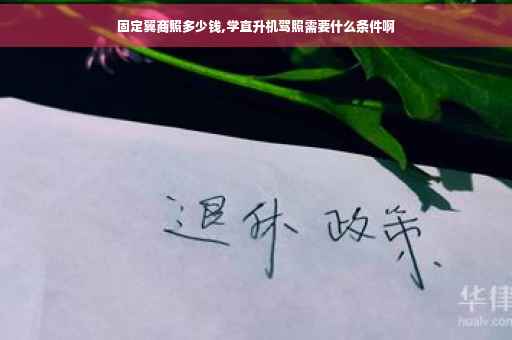固定翼商照多少钱,学直升机驾照需要什么条件啊
