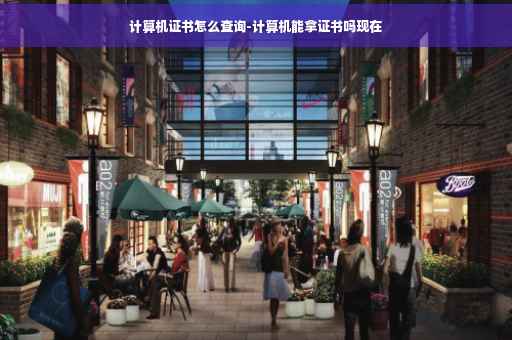 计算机证书怎么查询-计算机能拿证书吗现在