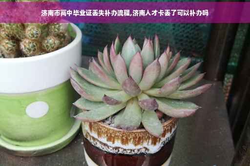 济南市高中毕业证丢失补办流程,济南人才卡丢了可以补办吗