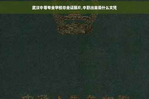 武汉中等专业学校毕业证图片,中职出来是什么文凭