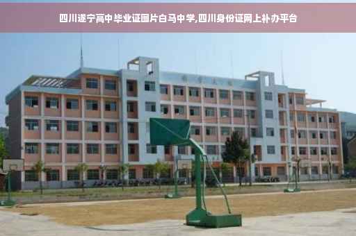 四川遂宁高中毕业证图片白马中学,四川身份证网上补办平台