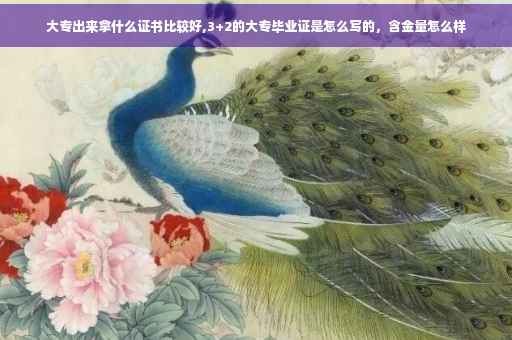 大专出来拿什么证书比较好,3+2的大专毕业证是怎么写的，含金量怎么样