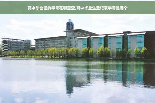 高中毕业证的学号在哪里查,高中毕业生登记表学号是哪个