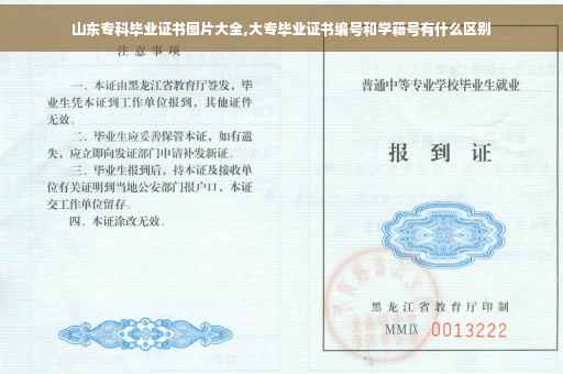 山东专科毕业证书图片大全,大专毕业证书编号和学籍号有什么区别