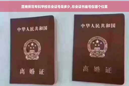 渭南师范专科学校毕业证号是多少,毕业证书编号在哪个位置