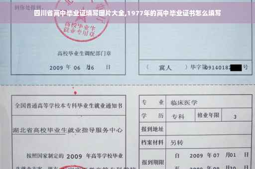四川省高中毕业证填写图片大全,1977年的高中毕业证书怎么填写
