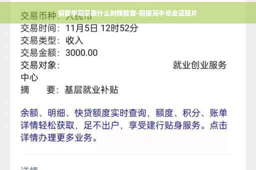 铜陵学院录取什么时候能查-铜陵高中毕业证图片
