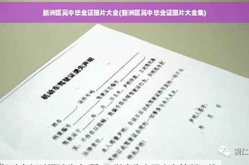 新洲区高中毕业证图片大全(新洲区高中毕业证图片大全集)