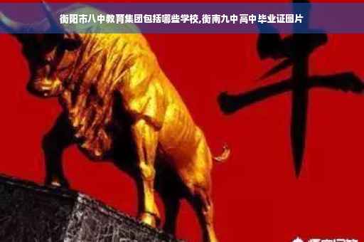 衡阳市八中教育集团包括哪些学校,衡南九中高中毕业证图片