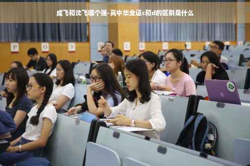 成飞和沈飞哪个强-高中毕业证c和d的区别是什么