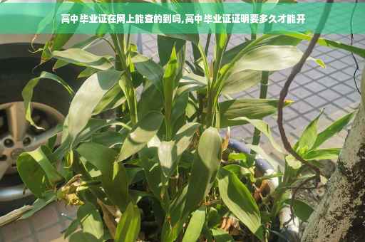 高中毕业证在网上能查的到吗,高中毕业证证明要多久才能开