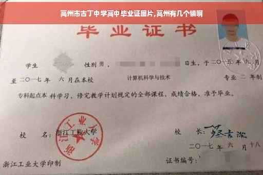 高州市古丁中学高中毕业证图片,高州有几个镇啊