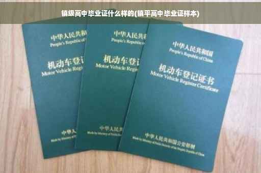 镇级高中毕业证什么样的(镇平高中毕业证样本)