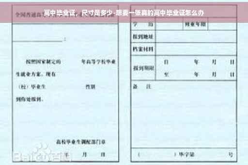 高中毕业证，尺寸是多少-想要一张真的高中毕业证怎么办