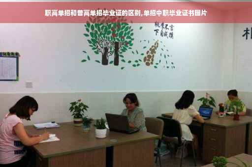 职高单招和普高单招毕业证的区别,单招中职毕业证书图片