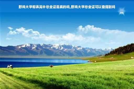 野鸡大学帮弄高中毕业证是真的吗,野鸡大学毕业证可以查得到吗