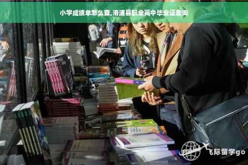 小学成绩单怎么查,洛浦县职业高中毕业证查询