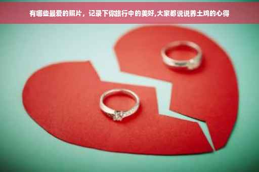 有哪些最爱的照片,记录下你旅行中的美好,大家都说说养土鸡的心得 有哪些最爱的照片,记录下你旅行中的美好,大家都说说养土鸡的心得