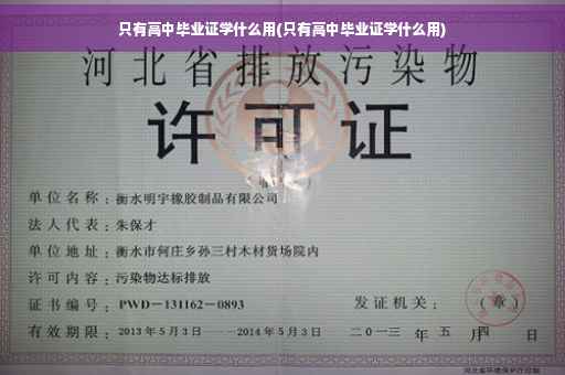只有高中毕业证学什么用(只有高中毕业证学什么用)