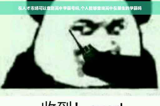 在人才市场可以查到高中学籍号吗,个人能够查询高中在册生的学籍吗