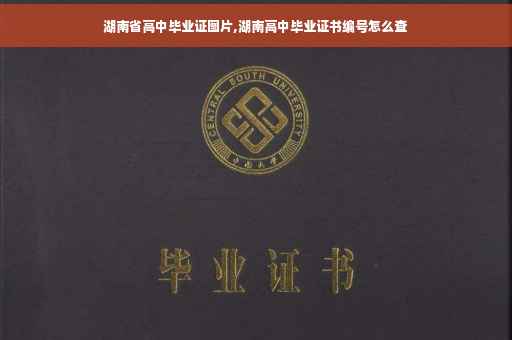 湖南省高中毕业证图片,湖南高中毕业证书编号怎么查