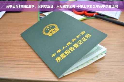 高中因为抑郁症退学，没有毕业证，以后该怎么办-不想上学怎么拿高中毕业证呢