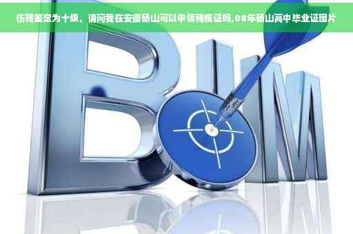 伤残鉴定为十级，请问我在安徽砀山可以申领残疾证吗,08年砀山高中毕业证图片