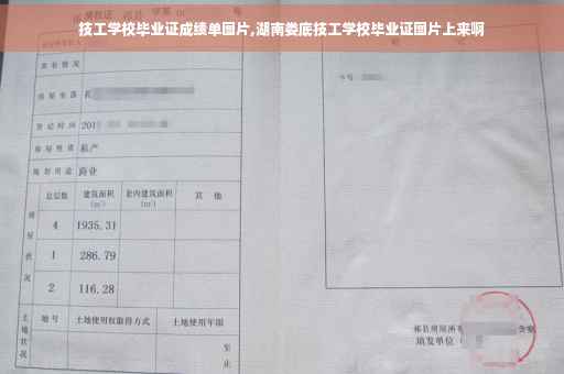 技工学校毕业证成绩单图片,湖南娄底技工学校毕业证图片上来啊