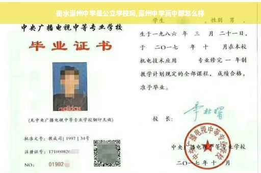 衡水深州中学是公立学校吗,深州中学高中部怎么样