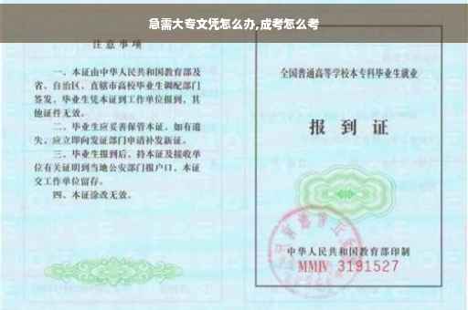 急需大专文凭怎么办,成考怎么考