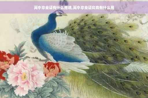 高中毕业证有什么用途,高中毕业证究竟有什么用