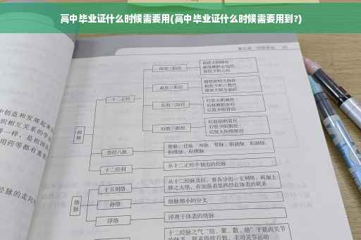 高中毕业证什么时候需要用(高中毕业证什么时候需要用到?)