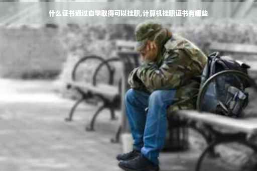 什么证书通过自学取得可以挂职,计算机挂职证书有哪些