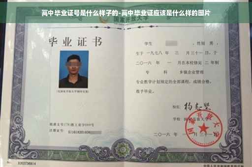 高中毕业证号是什么样子的-高中毕业证应该是什么样的图片