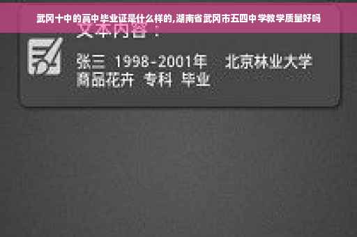 武冈十中的高中毕业证是什么样的,湖南省武冈市五四中学教学质量好吗