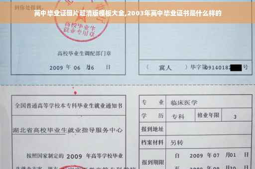高中毕业证图片超清版模板大全,2003年高中毕业证书是什么样的