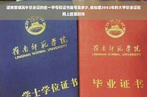 湖南普通高中毕业证的统一学号和证书编号是多少,谁知道2002年的大学毕业证在网上能查到吗