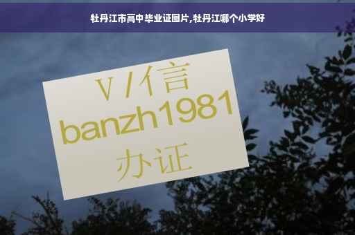 牡丹江市高中毕业证图片,牡丹江哪个小学好