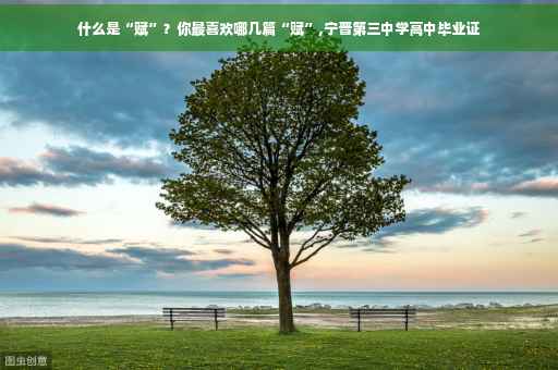 什么是“赋”?你最喜欢哪几篇“赋”,宁晋第三中学高中毕业证 什么是“赋”?你最喜欢哪几篇“赋”,宁晋第三中学高中毕业证