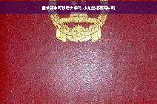 武术高中可以考大学吗,小龙武校有高中吗