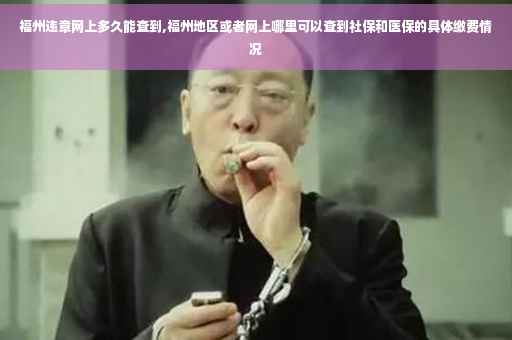 福州违章网上多久能查到,福州地区或者网上哪里可以查到社保和医保的具体缴费情况