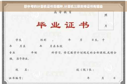 职中考的计算机证书是哪种,计算机三级资格证书有哪些