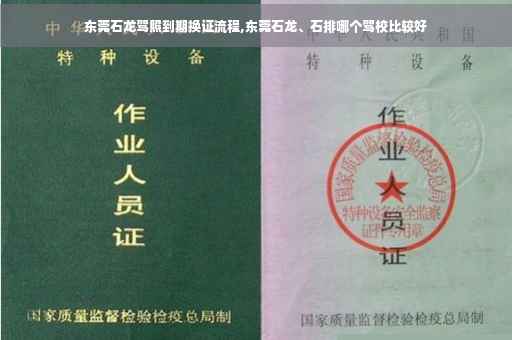 东莞石龙驾照到期换证流程,东莞石龙、石排哪个驾校比较好