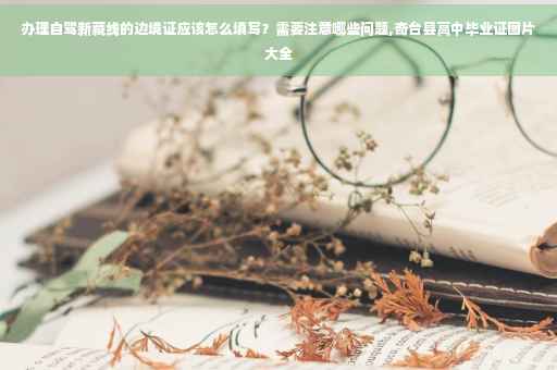 办理自驾新藏线的边境证应该怎么填写？需要注意哪些问题,奇台县高中毕业证图片大全